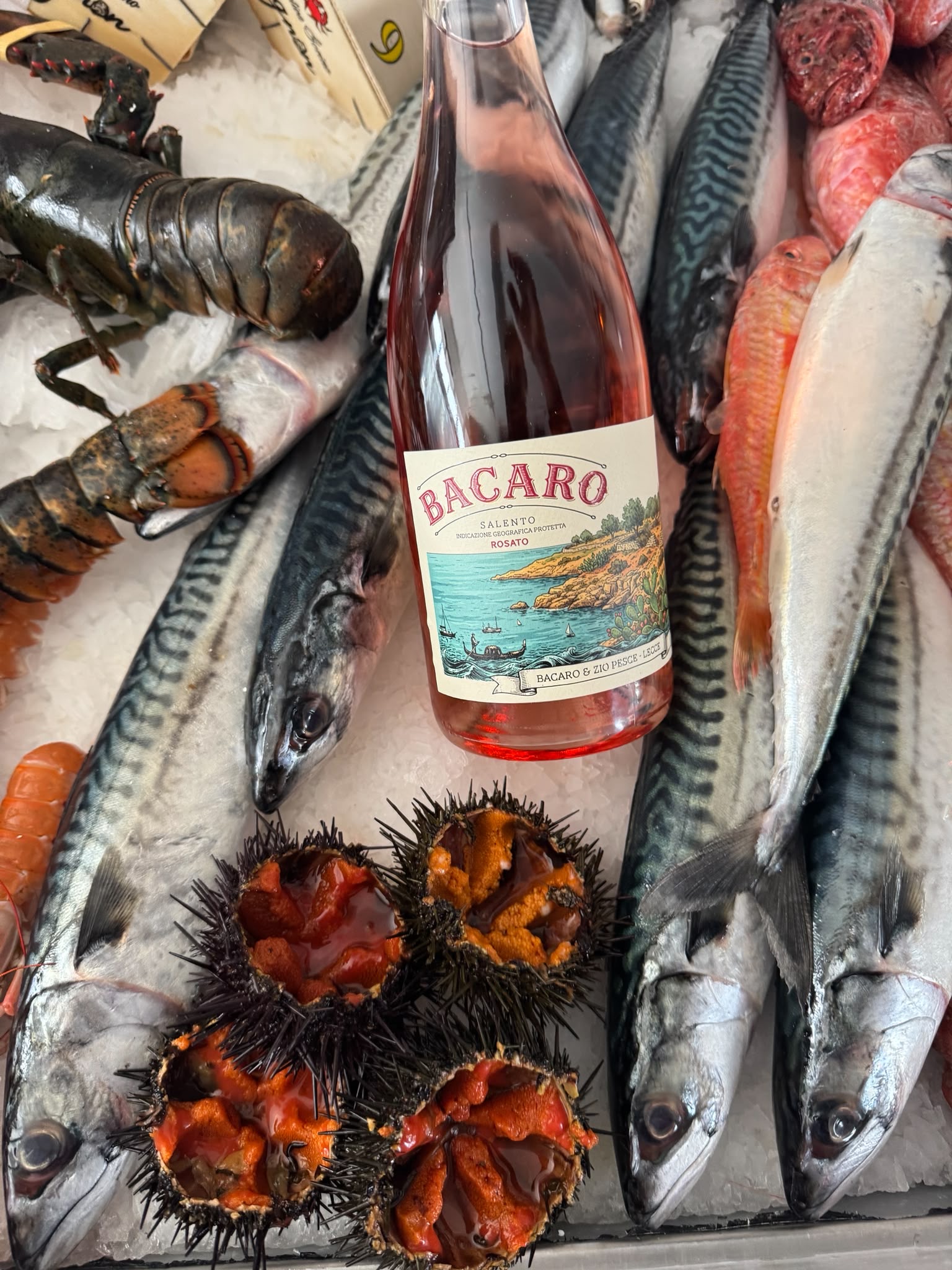 Vino del Bacaro & Zio Pesce